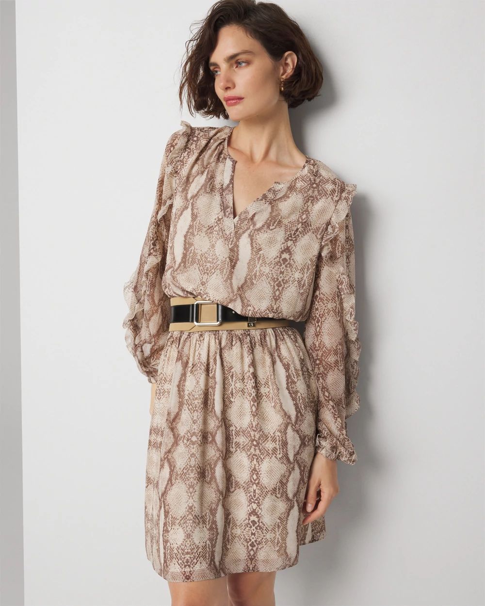 Ruffle Sleeve Dress
